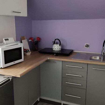 Apartament "Jelen" Jelenia Gora 아파트 외부 사진